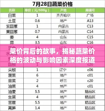 菜价背后的故事，揭秘蔬菜价格的波动与影响因素深度报道