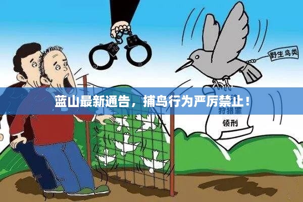 蓝山最新通告，捕鸟行为严厉禁止！