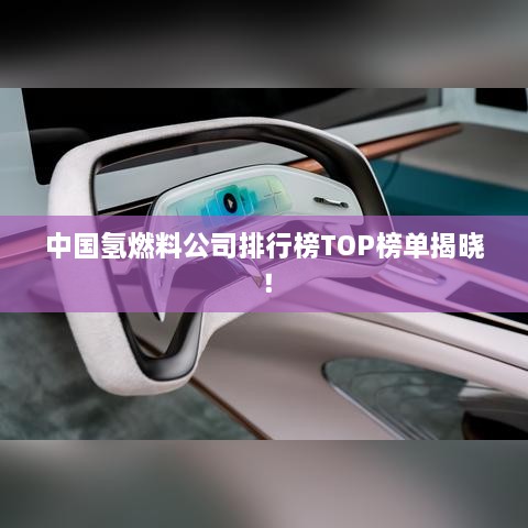 中国氢燃料公司排行榜TOP榜单揭晓！