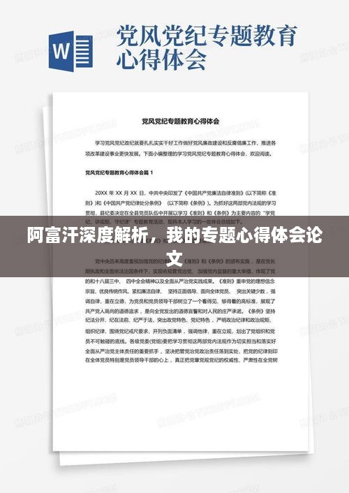 阿富汗深度解析，我的专题心得体会论文