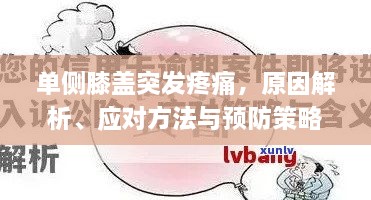 单侧膝盖突发疼痛，原因解析、应对方法与预防策略