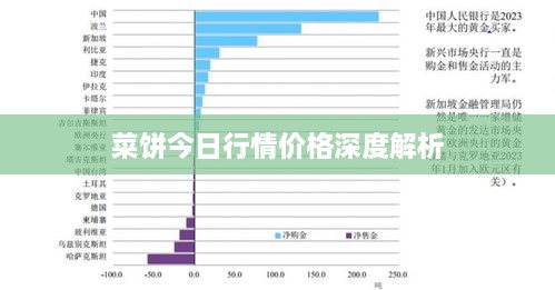 菜饼今日行情价格深度解析