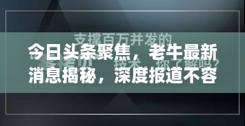 今日头条聚焦，老牛最新消息揭秘，深度报道不容错过