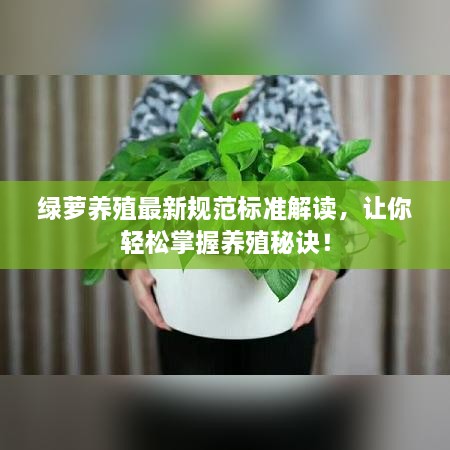 绿萝养殖最新规范标准解读，让你轻松掌握养殖秘诀！