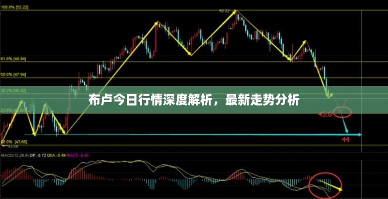 布卢今日行情深度解析，最新走势分析