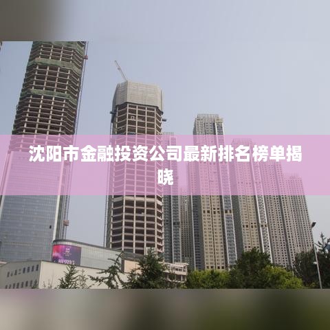 沈阳市金融投资公司最新排名榜单揭晓