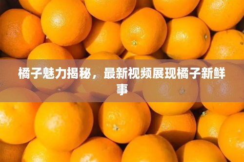 橘子魅力揭秘，最新视频展现橘子新鲜事