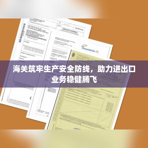 海关筑牢生产安全防线，助力进出口业务稳健腾飞