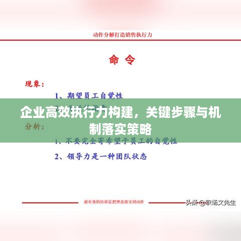 企业高效执行力构建，关键步骤与机制落实策略