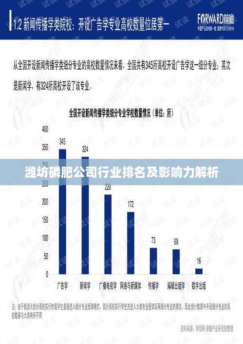 潍坊磷肥公司行业排名及影响力解析