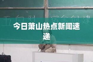 今日萧山热点新闻速递