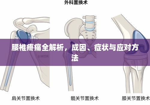 腰椎疼痛全解析，成因、症状与应对方法