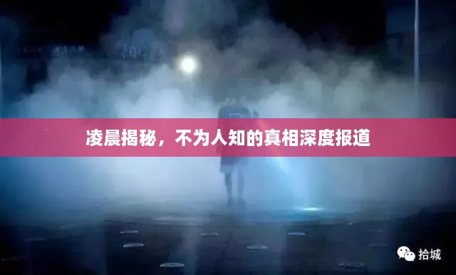 凌晨揭秘，不为人知的真相深度报道