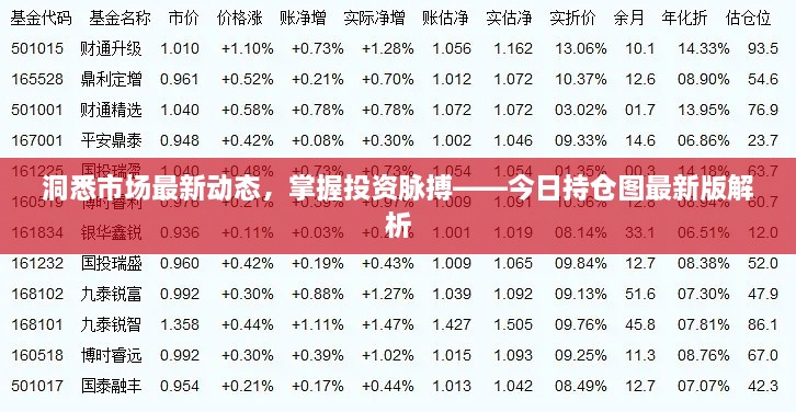 洞悉市场最新动态，掌握投资脉搏——今日持仓图最新版解析