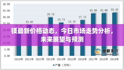 镁最新价格动态，今日市场走势分析，未来展望与预测