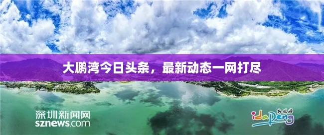 大鹏湾今日头条，最新动态一网打尽