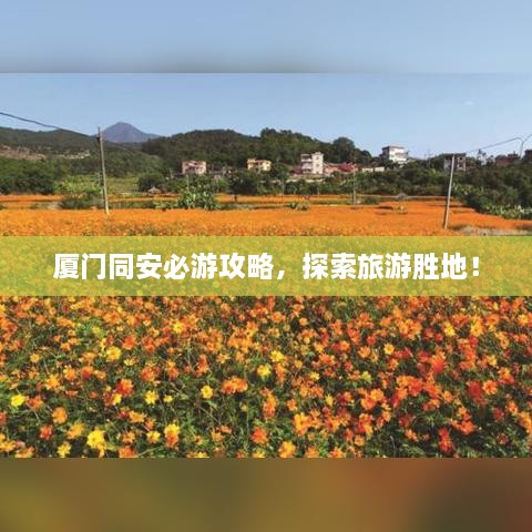 厦门同安必游攻略，探索旅游胜地！