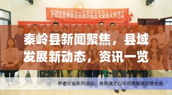 秦岭县新闻聚焦，县域发展新动态，资讯一览无余