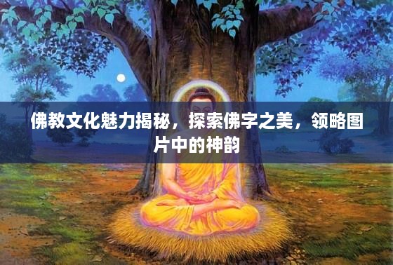 佛教文化魅力揭秘，探索佛字之美，领略图片中的神韵