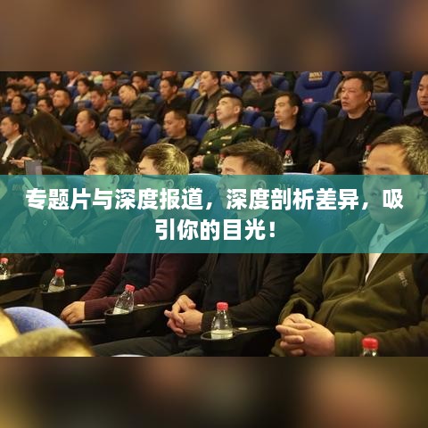 专题片与深度报道，深度剖析差异，吸引你的目光！