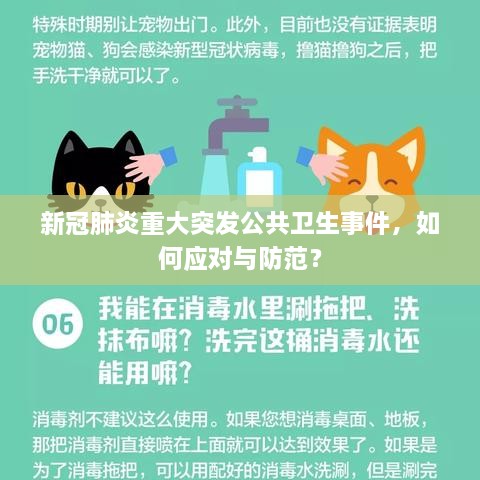 新冠肺炎重大突发公共卫生事件，如何应对与防范？