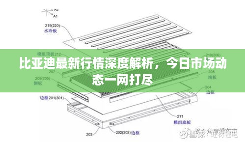 比亚迪最新行情深度解析，今日市场动态一网打尽