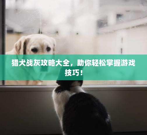 猎犬战灰攻略大全，助你轻松掌握游戏技巧！