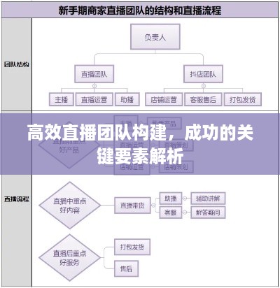 高效直播团队构建，成功的关键要素解析