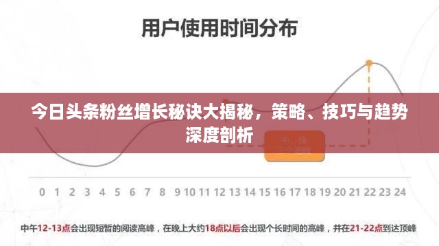 今日头条粉丝增长秘诀大揭秘，策略、技巧与趋势深度剖析