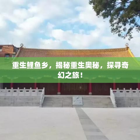 重生鲤鱼乡，揭秘重生奥秘，探寻奇幻之旅！