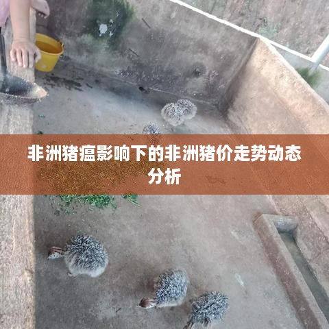 非洲猪瘟影响下的非洲猪价走势动态分析