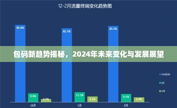 包码新趋势揭秘，2024年未来变化与发展展望