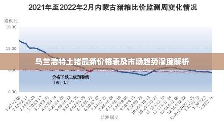 乌兰浩特土猪最新价格表及市场趋势深度解析