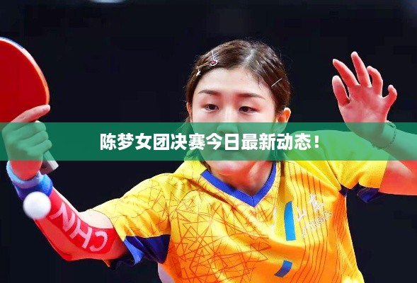 陈梦女团决赛今日最新动态！