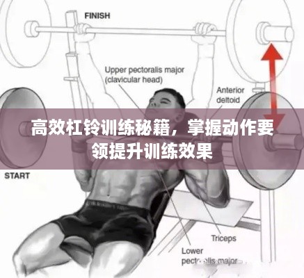 高效杠铃训练秘籍，掌握动作要领提升训练效果