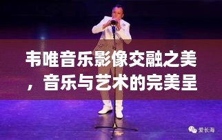 韦唯音乐影像交融之美，音乐与艺术的完美呈现