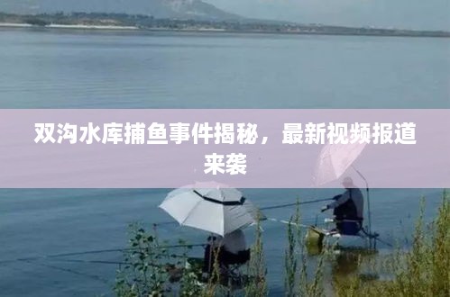 双沟水库捕鱼事件揭秘，最新视频报道来袭