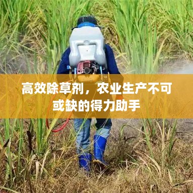 高效除草剂，农业生产不可或缺的得力助手