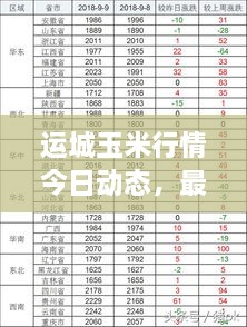 运城玉米行情今日动态，最新报价与市场走势分析