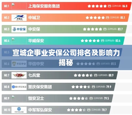 宣城企事业安保公司排名及影响力揭秘