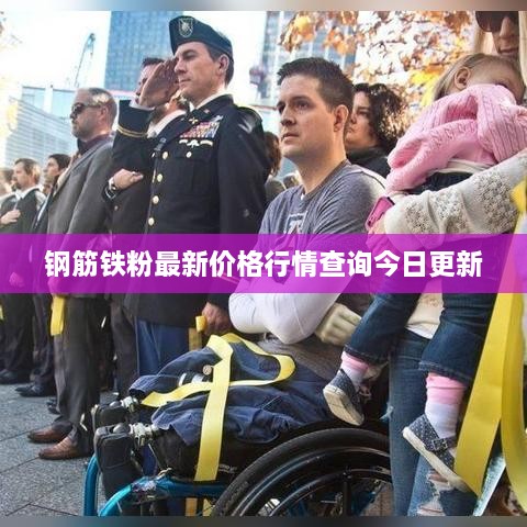 钢筋铁粉最新价格行情查询今日更新