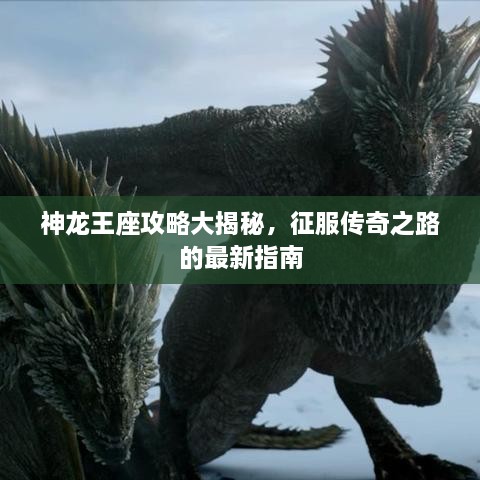 神龙王座攻略大揭秘，征服传奇之路的最新指南