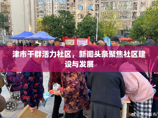 津市干群活力社区，新闻头条聚焦社区建设与发展