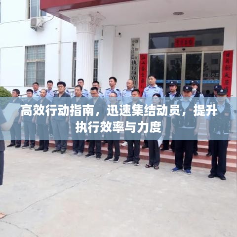 高效行动指南，迅速集结动员，提升执行效率与力度