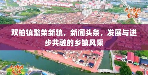 双柏镇繁荣新貌，新闻头条，发展与进步共融的乡镇风采