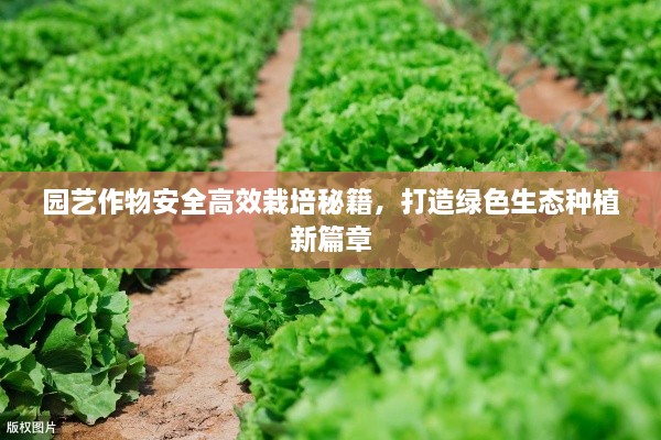 园艺作物安全高效栽培秘籍，打造绿色生态种植新篇章