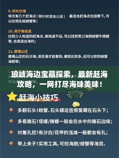 琅岐海边宝藏探索，最新赶海攻略，一网打尽海味美味！