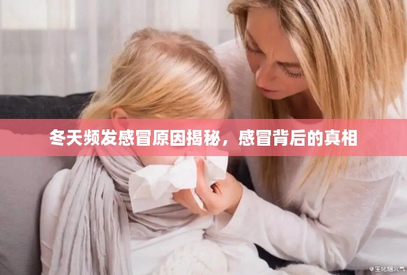 冬天频发感冒原因揭秘，感冒背后的真相