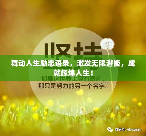 舞动人生励志语录，激发无限潜能，成就辉煌人生！