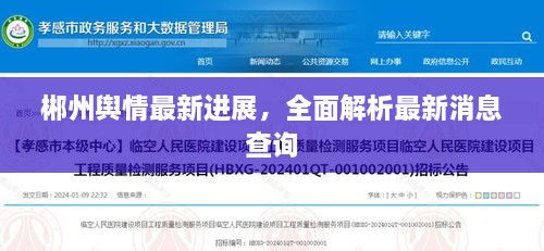 郴州舆情最新进展，全面解析最新消息查询